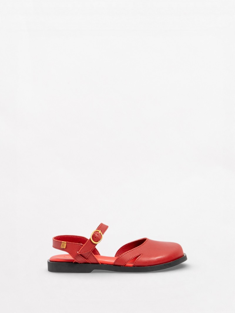 Arenisca N5874